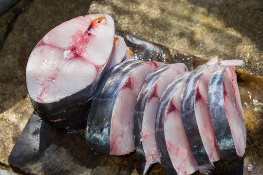 Fish